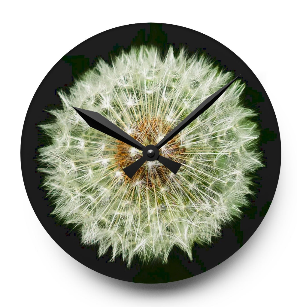 Wall Clock Dandelion