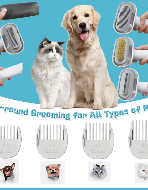 Load image into Gallery viewer, Dog Grooming Kit 2L Pet Hair Grooming Vacuum with 5 Pet Grooming Tools
